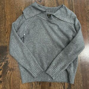 Shimmery sweater NWOT